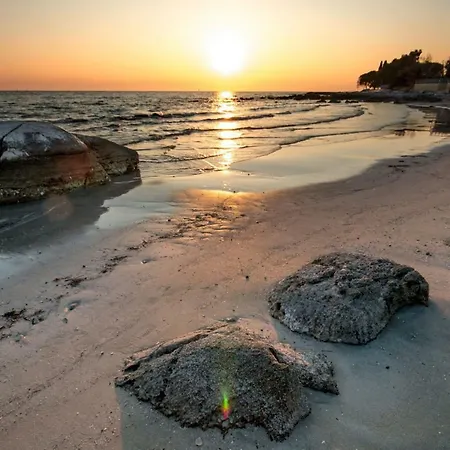 Fiordaliso * Tar-Vabriga