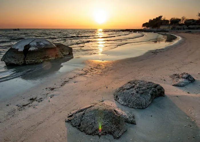 Fiordaliso * Tar-Vabriga